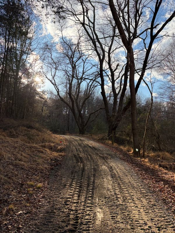 Road Regrading