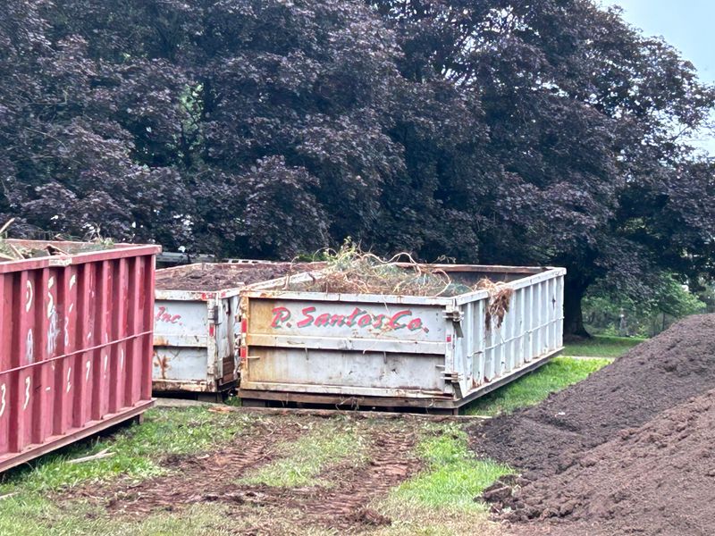 Land Clearing