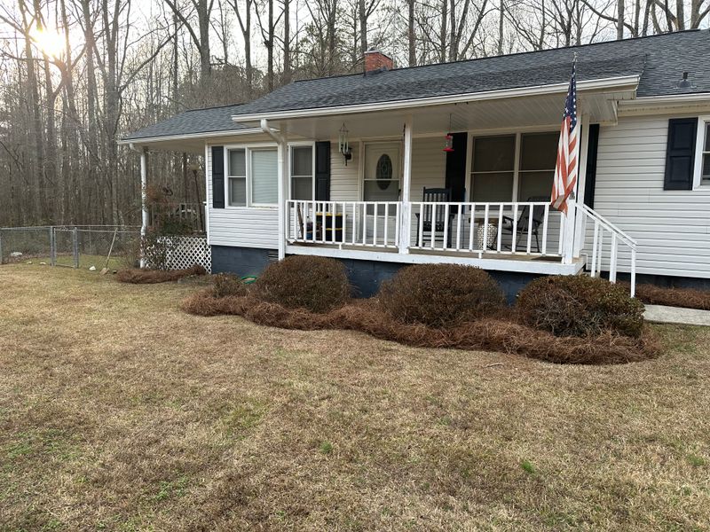 Shrub/Bush Trimming