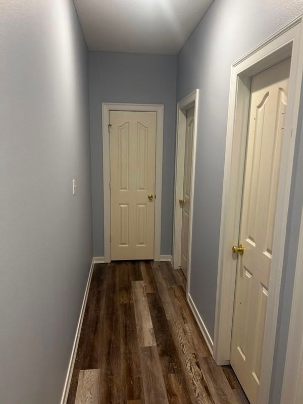 Interior Painting