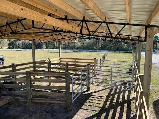 Equestrian Fencing