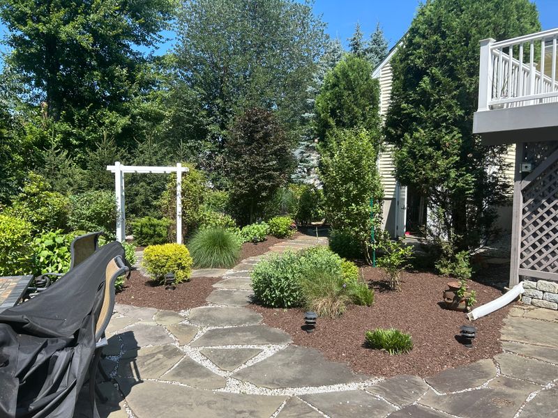 Shrub Trimming