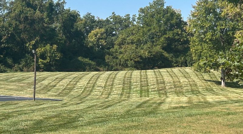 Lawn Care & Maintenance