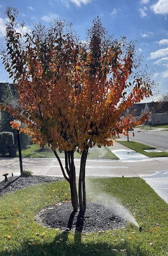 Irrigation System Repair