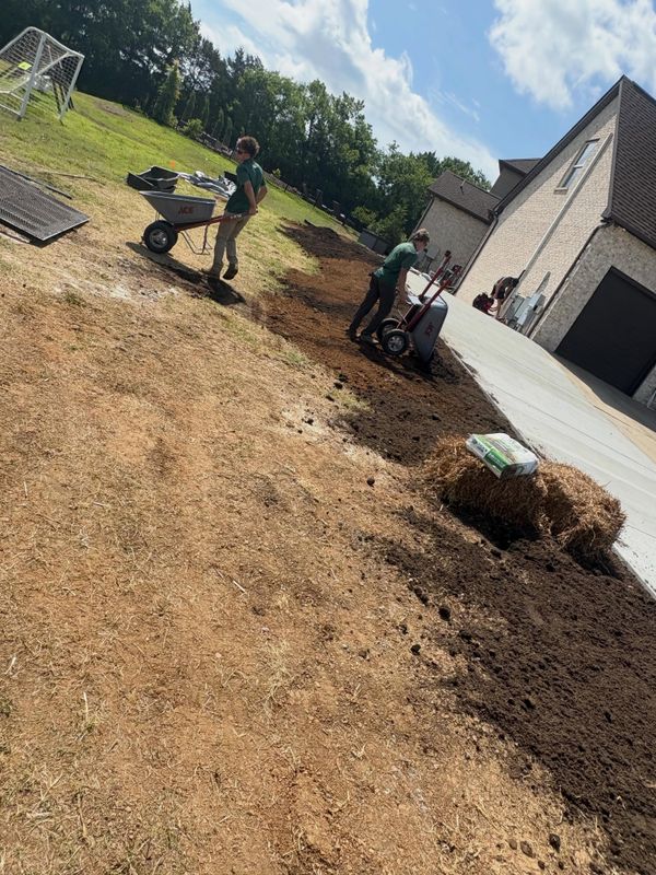 Lawn Maintenance
