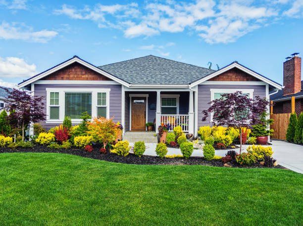 Landscaping 