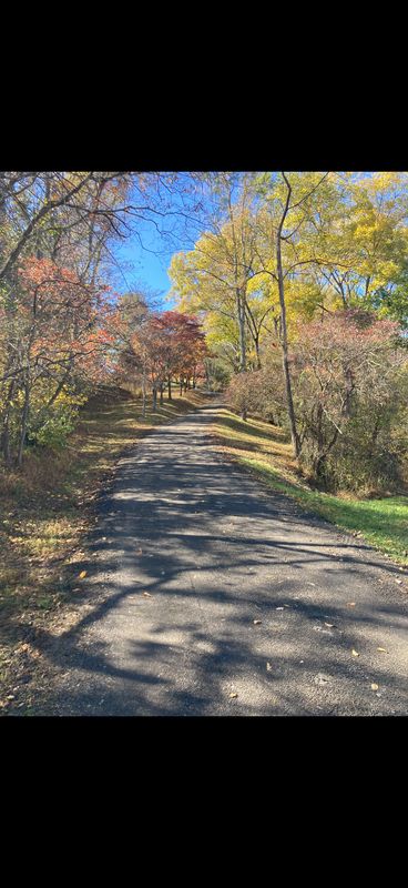 Road & Driveway Regrading