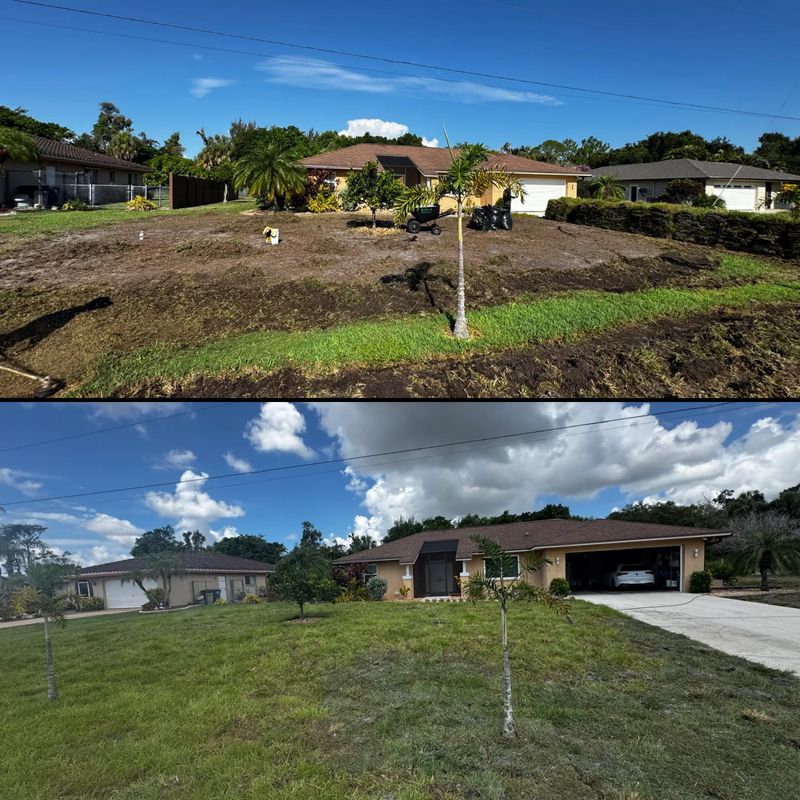 Sod installation