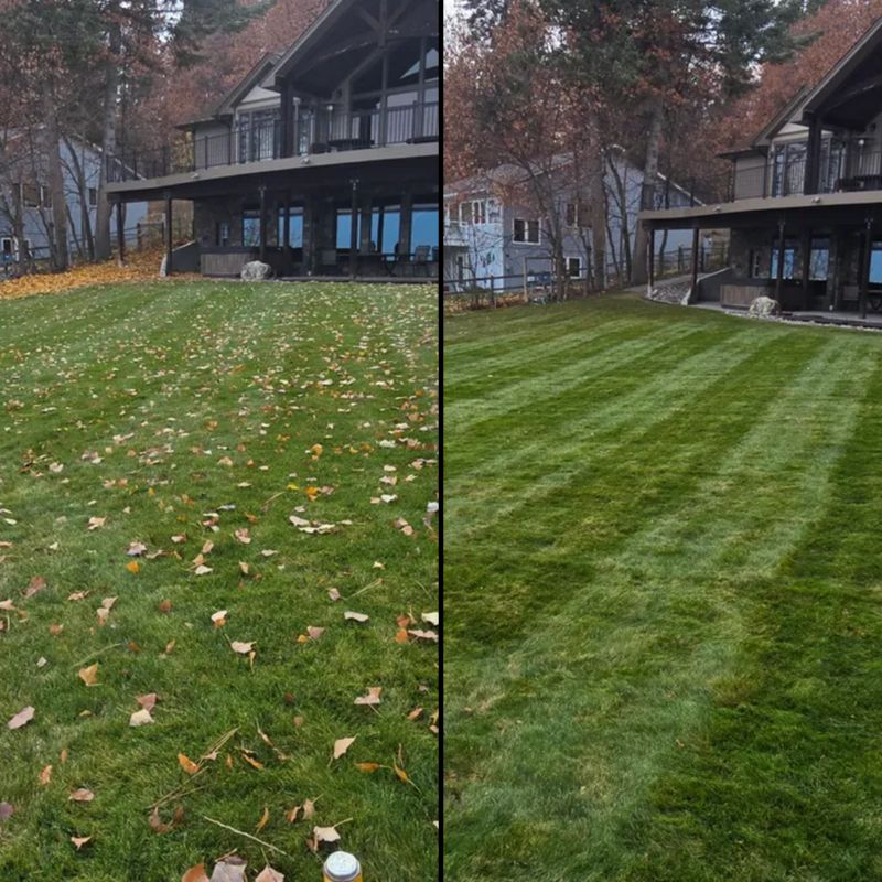 Landscape Installation