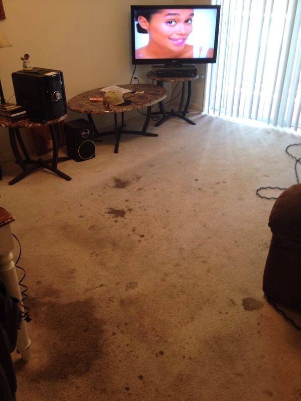  Cleaning