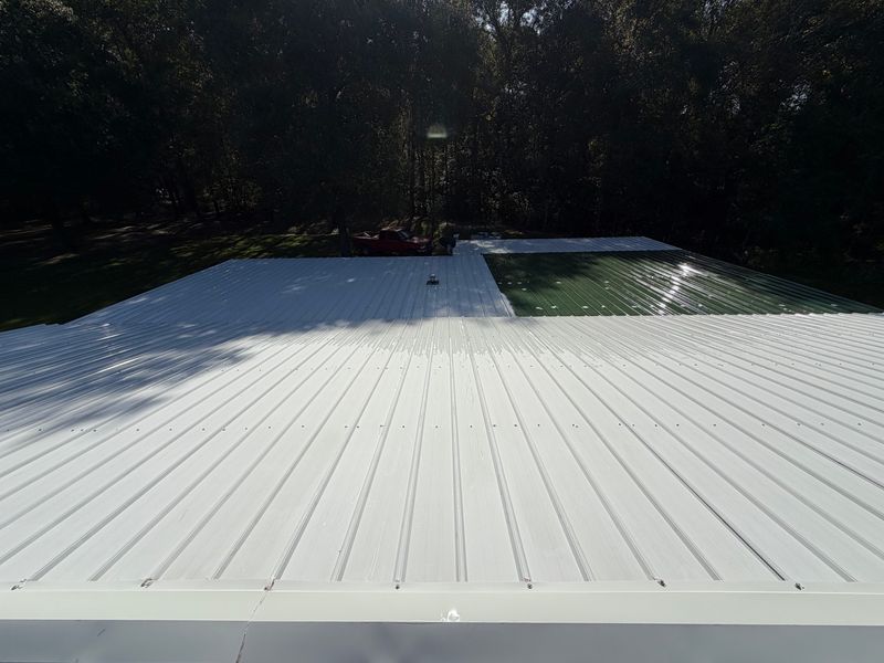Roof Cleaning