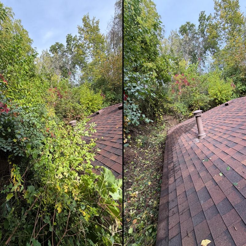 Property Maintenance