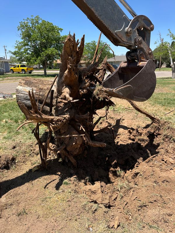 Stump Removal
