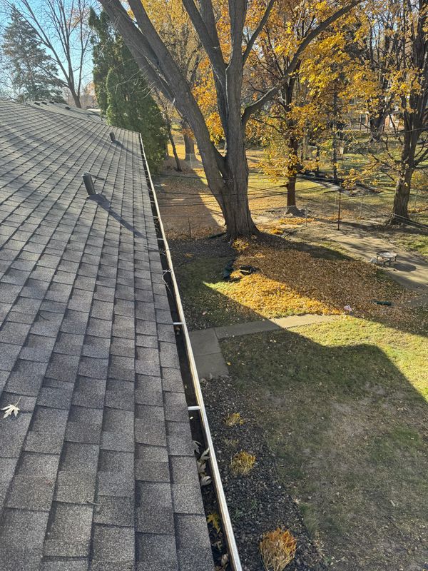 Gutter clean up