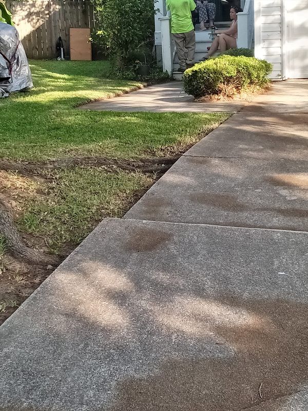 Tree & Shrub Care