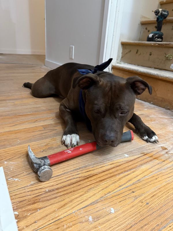 Residential Construction