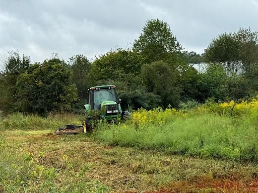Land Clearing