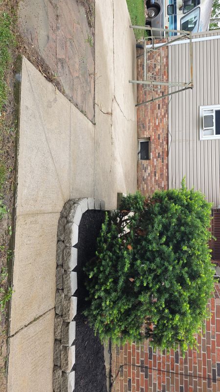 Mulch Installation