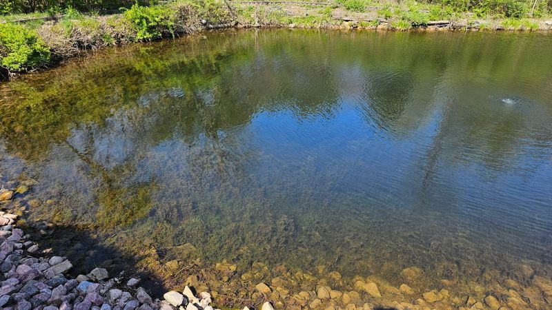 Pond Maintenance 