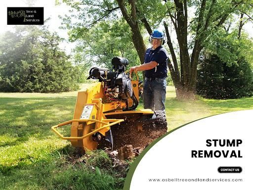 Stump Removal