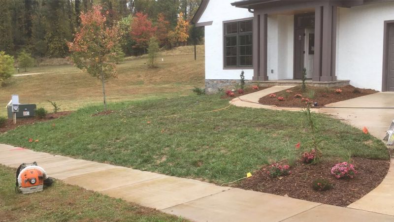 Landscape Design and Installation