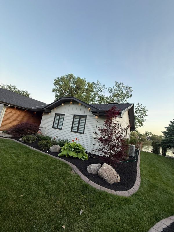 Plant & Shrub Installations