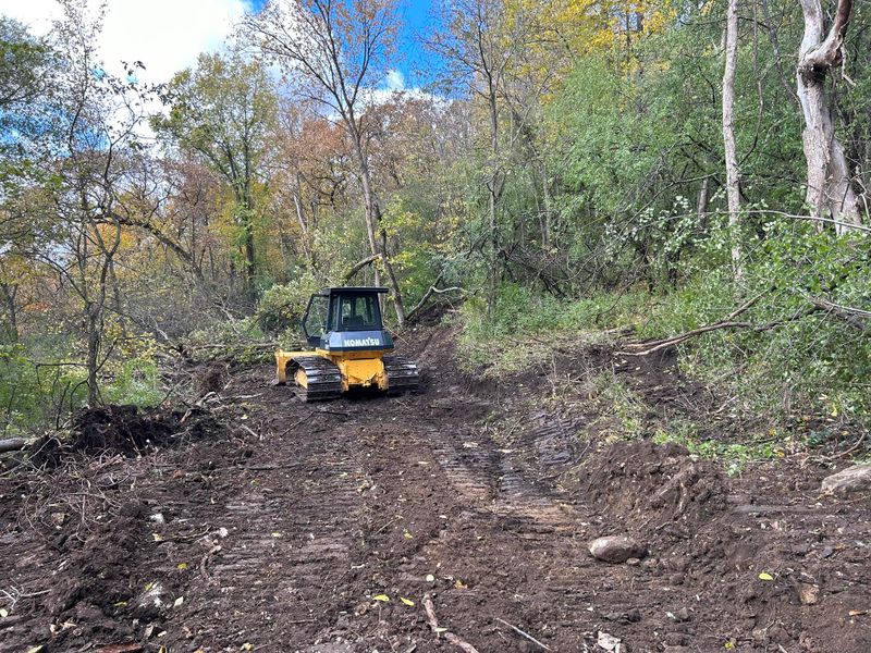 Land Clearing