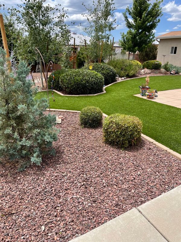 Tree and Shrub Care