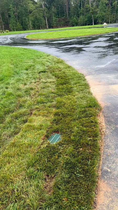Lawn Maintenance