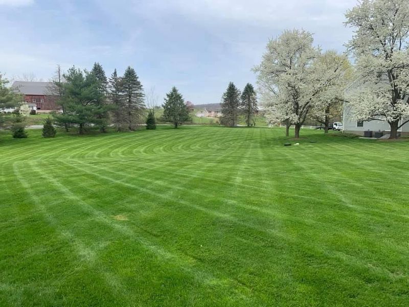 Mowing