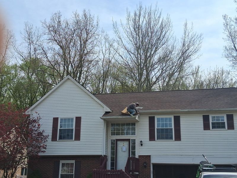 Roofing Repairs