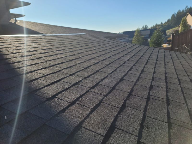 Roofing Repairs