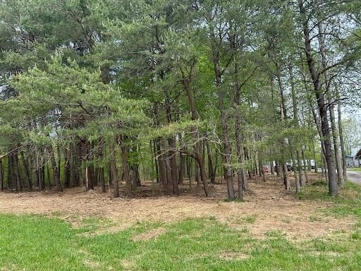 Land Clearing