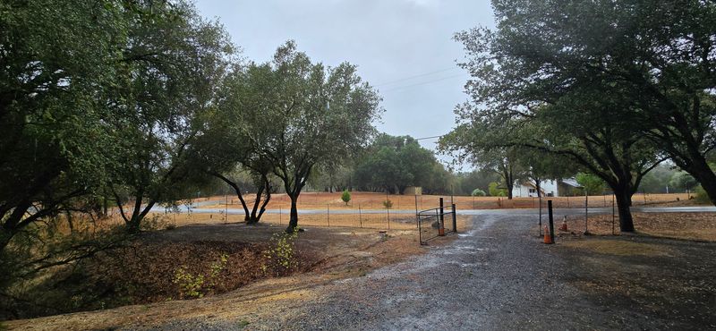Enhanced Landscape with Expert Tree Removal