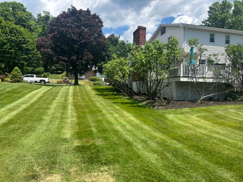 Tree & Shrub Care