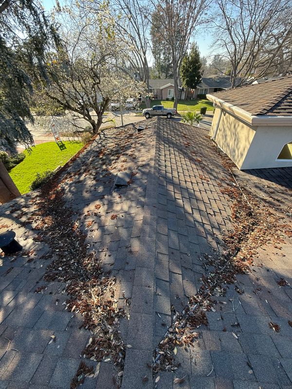 Moss Removal 