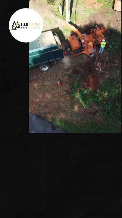Tree Trimming