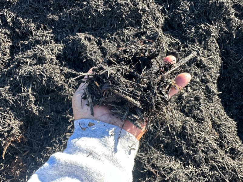 Mulch Installation