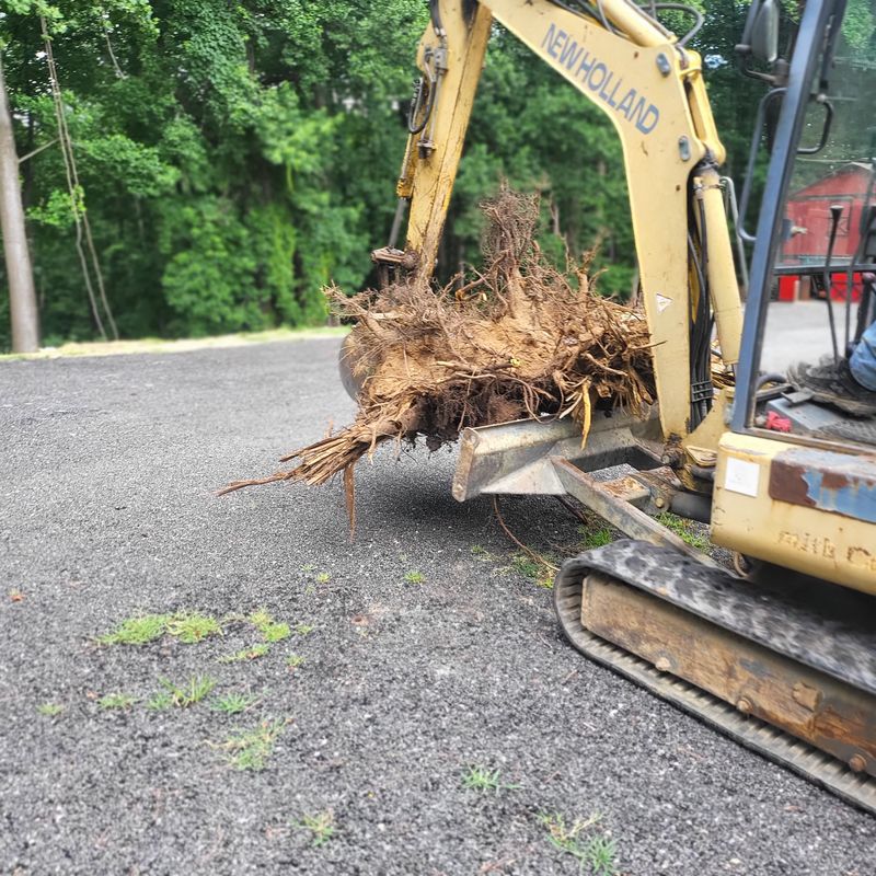 Septic/ Excavation