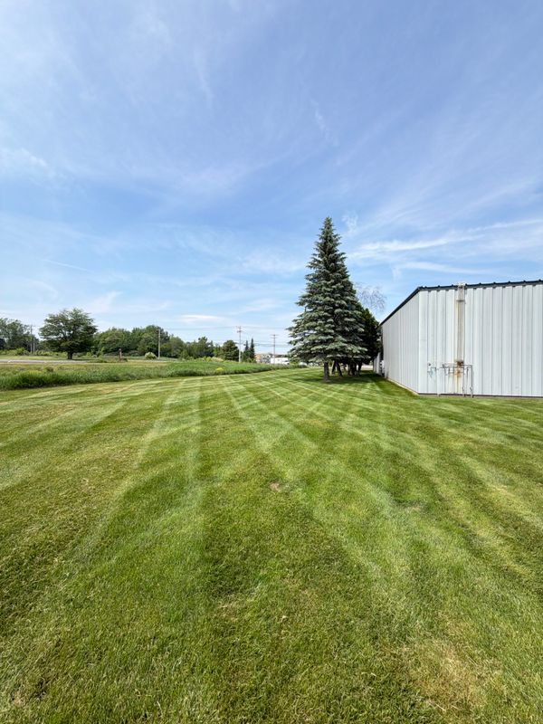 Lawn Maintenance