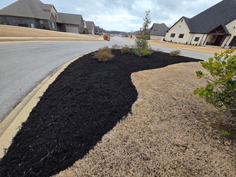 Landscape And Design