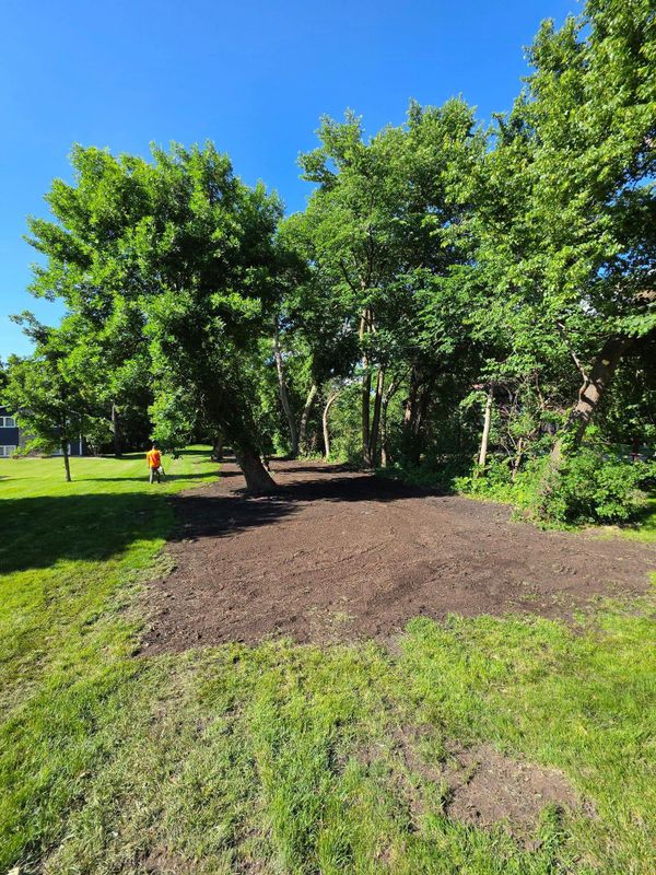 Lawn Care Programs