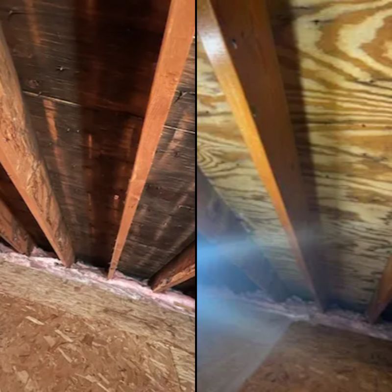 Mold Remediation gallery