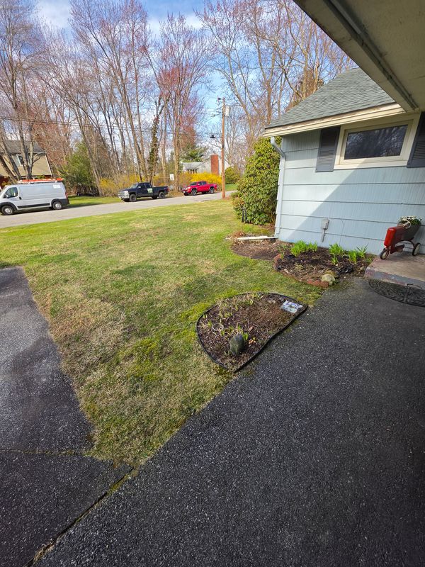 Spring & Fall Cleanups