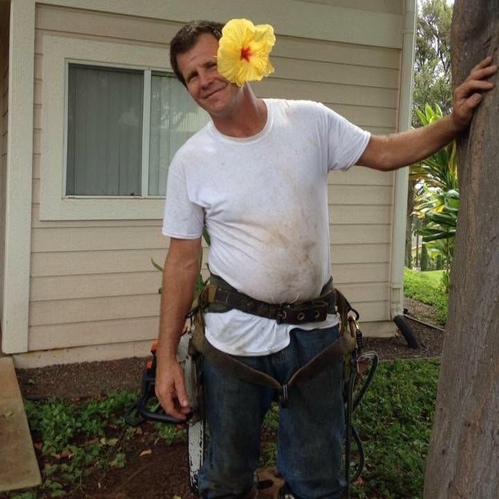 Tree Health Assessment