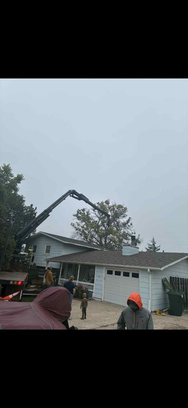 Tree Removal