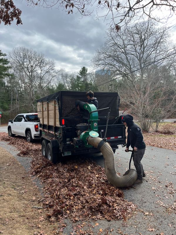 Fall CleanUp