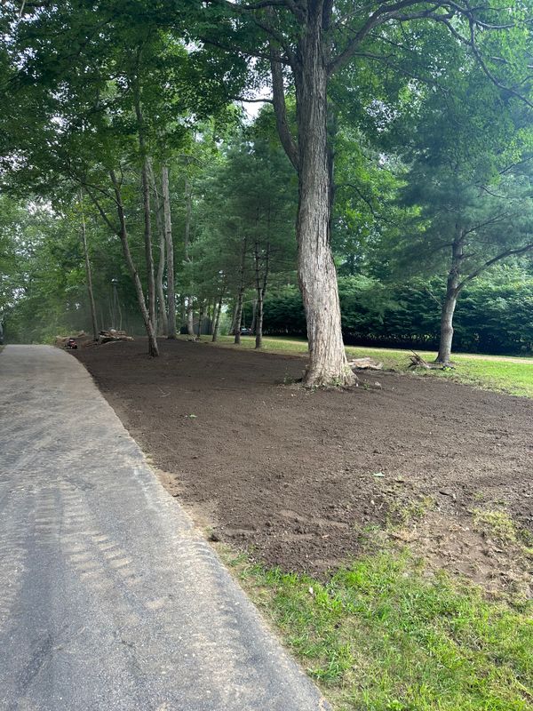 Yard Expansions