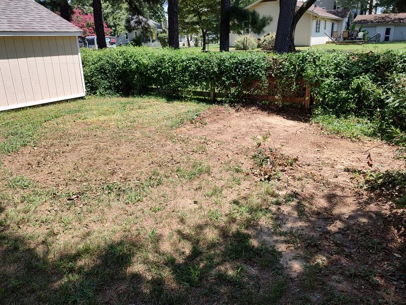 Brush pile and chicken coop removal & disposal.