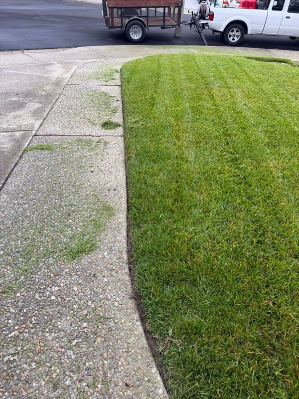 Lawn Maintenance